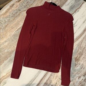 Aritzia Turtleneck Worn Once